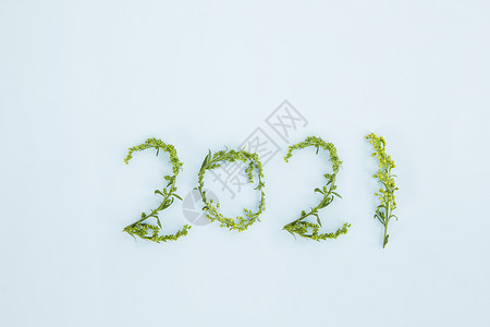 植物嫩芽摆成的数字2021背景图片