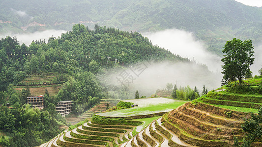 春耕的梯田背景图片