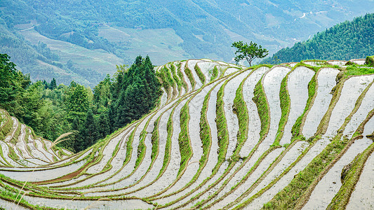 春耕的梯田背景图片