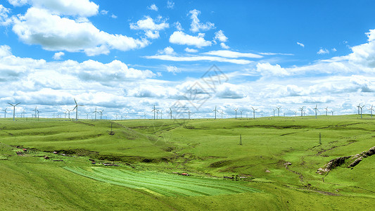 内蒙古辉腾锡勒草原夏季风景背景图片