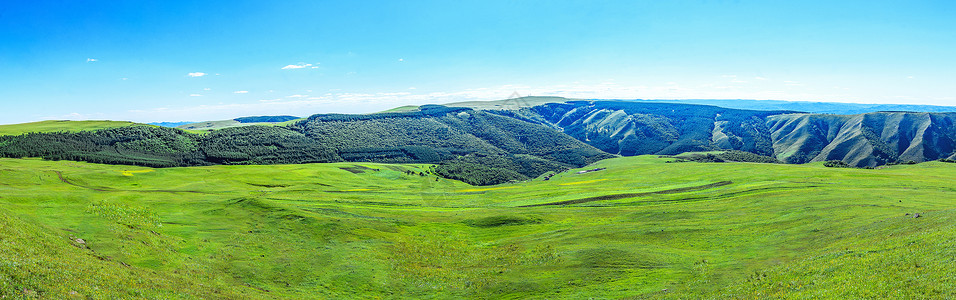 内蒙古辉腾锡勒草原夏季风景背景图片