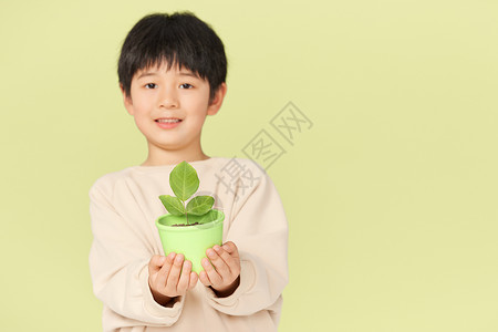 一盆小花花开心的捧着一盆植物的小男孩背景