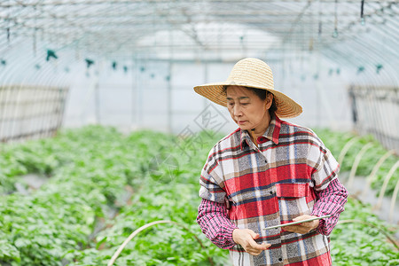 网上销售大棚农民线上销售背景