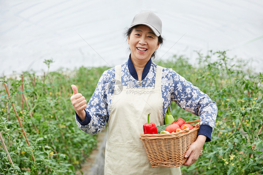 农民蔬菜大棚采摘点赞图片