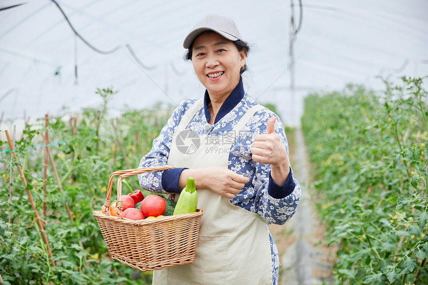 农民蔬菜大棚采摘点赞图片