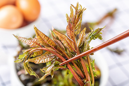 蔬菜植物筷子夹起蔬菜香椿背景