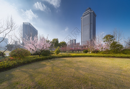 城市建筑风光图片