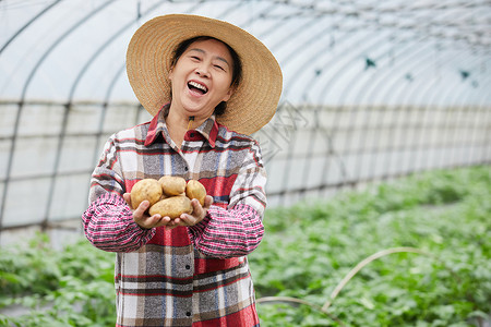 蔬菜大棚手捧土豆的农民大婶图片