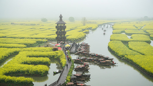 千寻塔江苏泰州兴化千垛水上油菜花背景