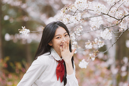 樱花和人美女大学生逛游公园赏樱花背景