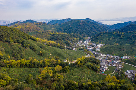 茯茶小镇航拍杭州西湖龙井村茶园背景