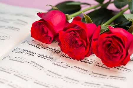 玫瑰花与乐谱背景图片