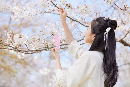 打伞的古风少女古风汉服樱花美女挂风铃许愿背景