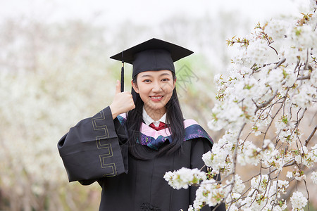 毕业季樱花清纯可爱少女学习高清图片素材