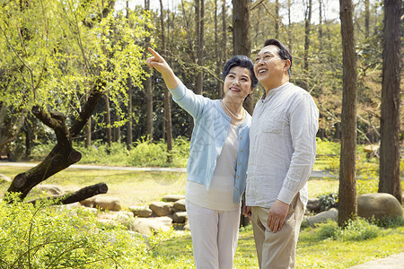 公园踏青的老年夫妇亚洲人高清图片素材
