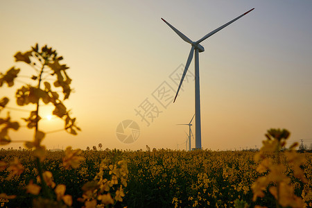 地球旋转素材夕阳下在花田里的风力发电机背景