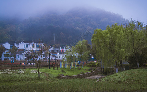 南京不老村清晨的乡村风景图片