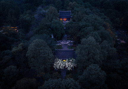 江苏南京清凉山崇正书院绣球花夜景背景图片