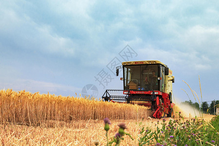 拖拉机芒种麦田里的收割机背景