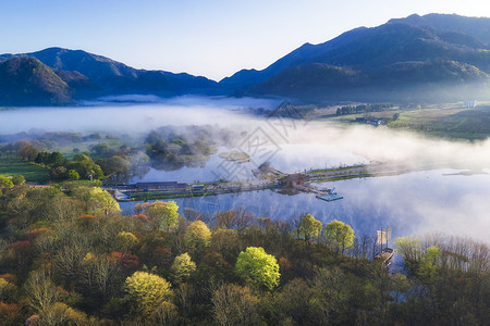 九蒸九晒湖北神农架大九湖清晨晨雾背景