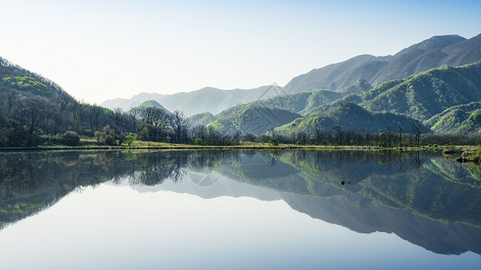 九莲山湖北神农架林区大九湖自然风景背景