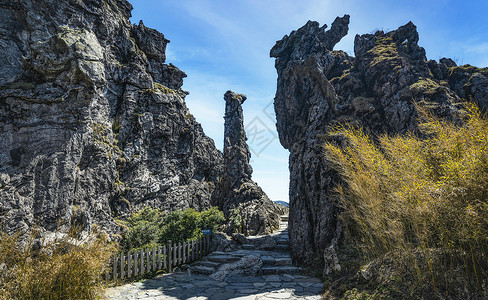 湖北旅行湖北神农架林区神农顶神农谷背景