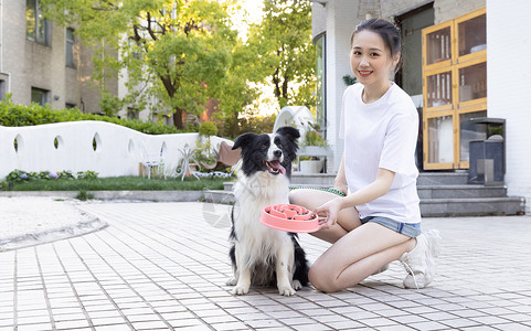 美女主人院子里喂宠物狗狗吃狗粮图片