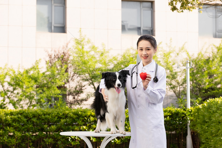 女性宠物医生医疗体检形象图片