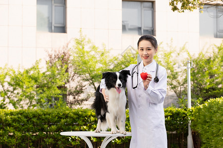 女性宠物医生医疗体检形象图片