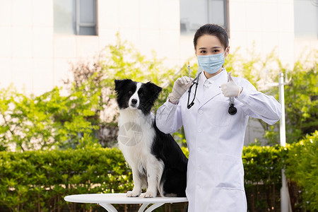 女性宠物医生职业形象点赞形象图片