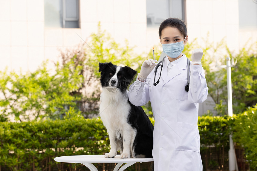 女性宠物医生职业形象加油手势图片