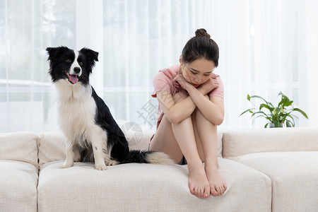 美女主人生病宠物牧羊犬陪伴图片