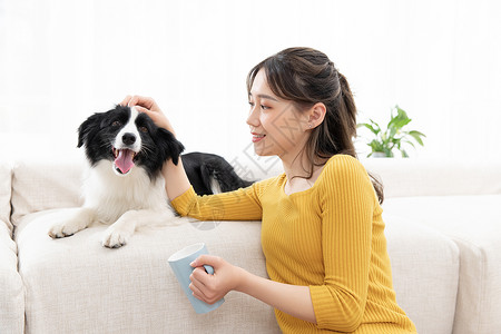 美女喝水和宠物牧羊犬相伴背景图片