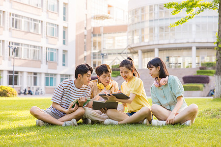 在东京建立小组年轻大学生在草坪上讨论问题背景