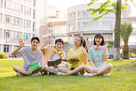 学习小组年轻大学生坐在草坪上打招呼背景