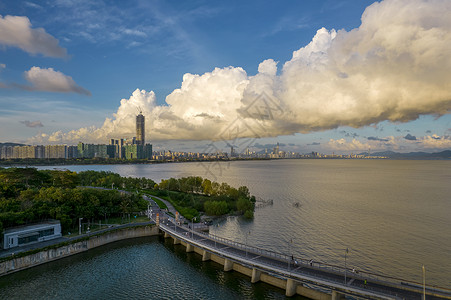 航拍深圳湾城市图片