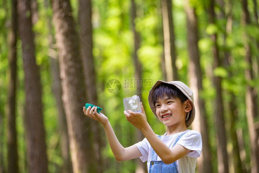 小男孩放生蝴蝶图片