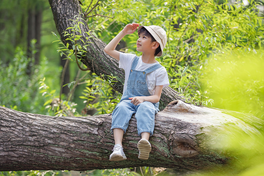 坐在树干上观望的小男孩图片