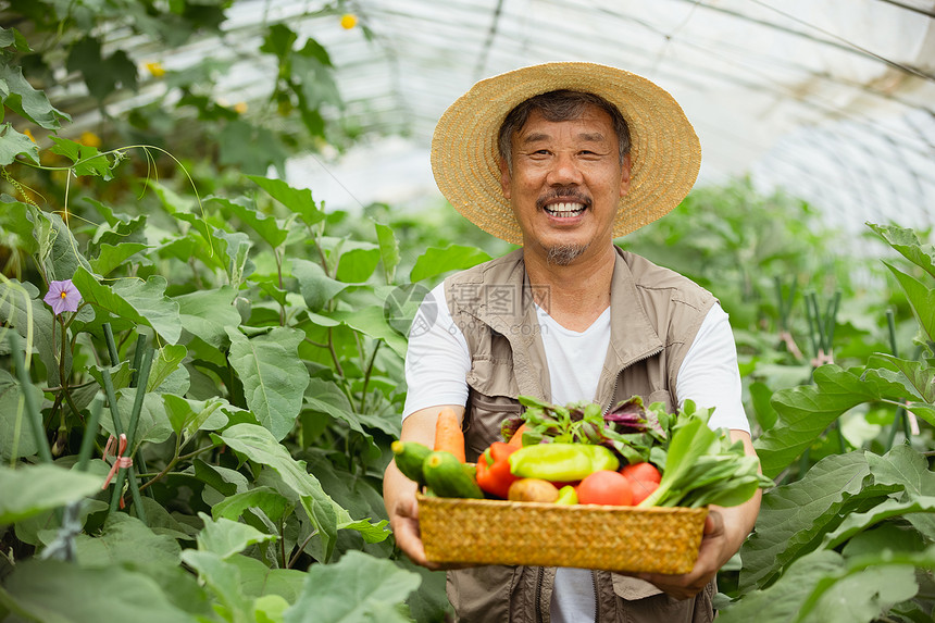 蔬菜大棚手捧蔬菜的农民大叔图片