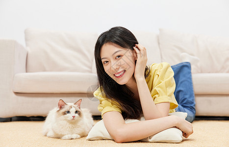 女人和猫美女主人和宠物布偶猫居家相伴背景