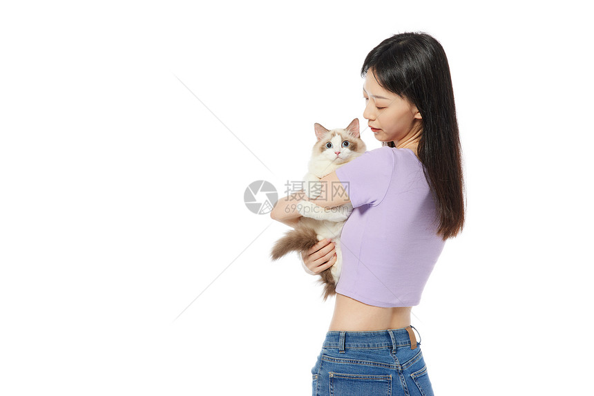 美女主人抱着宠物布偶猫图片