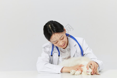 宠物医生给宠物猫咪体检图片