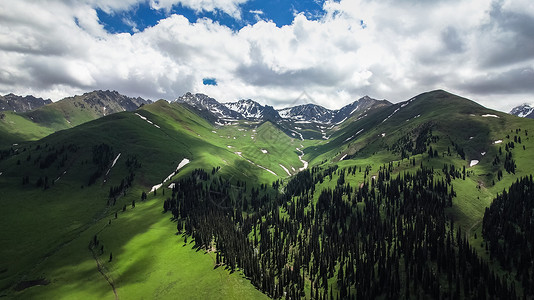 迎宾区背景航拍5A景区新疆那拉提空中草原景观区雪山背景