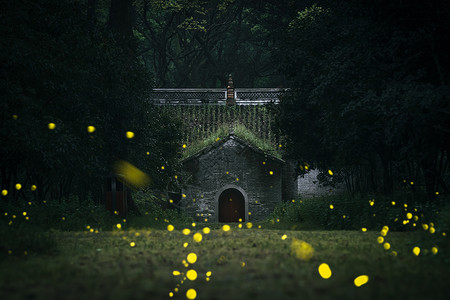 南京灵谷寺夏天夜晚的萤火虫与传统建筑高清图片