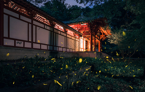 萤火虫背景明孝陵夏天夜晚的萤火虫与古建筑背景