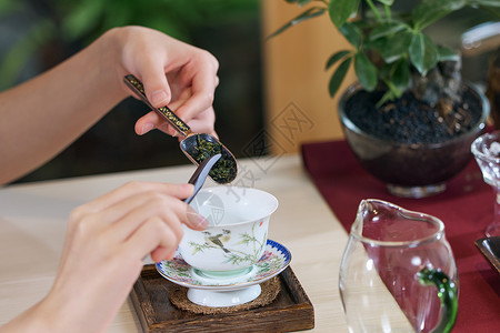 女茶艺师沏茶特写图片