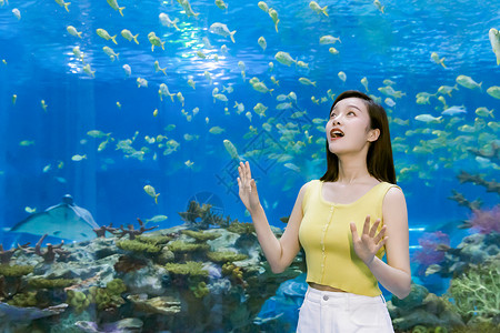 青年女性假期游玩海洋水族馆图片