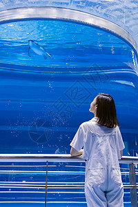 水族馆企鹅青年女性水族馆看企鹅背景