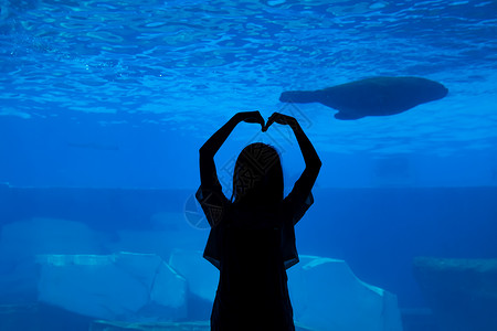 鲸鱼形状青年女性逛水族馆比心剪影背景