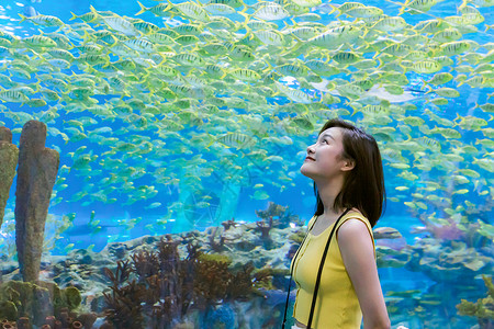 青年女性假期游玩海洋水族馆图片